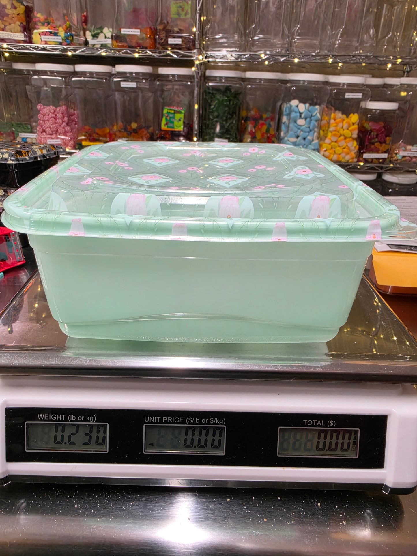 1.5 LB GRUB Mint & Pink Flower Large Reusable Container